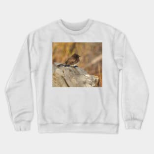 Wild birds, black phoebe, wildlife, Tiny Charm Crewneck Sweatshirt